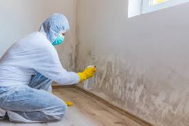 Why You Should Choose Our Mold Remediation Services in Mint Hill, NC